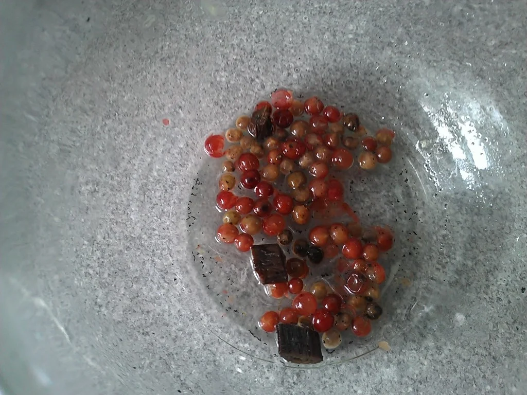 Putenfilet`s heute mal confiert (als Vorspeise)  à la Biggi - Rezept - Bild Nr. 2469