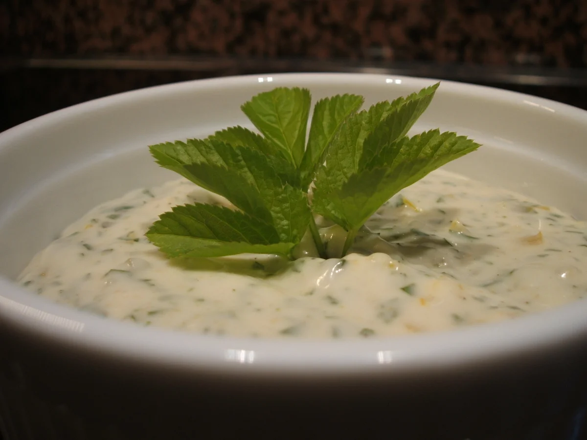 Rezept: Soßen: Giersch-Remoulade ohne Ei Bild Nr. 2471 Soßen: Giersch-Remoulade ohne Ei - Rezept - Bild Nr. 2471