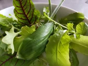 Tbone Steak heute mit dem perfekten Pflücksalat à la Biggi - Rezept - Bild Nr. 2484