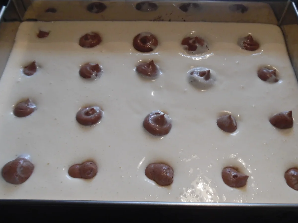 Rezept: Frischkäse-Kuchen mit Schoko-Tropfen und Keks-Boden Bild Nr. 2501 Frischkäse-Kuchen mit Schoko-Tropfen und Keks-Boden - Rezept - Bild Nr. 2501