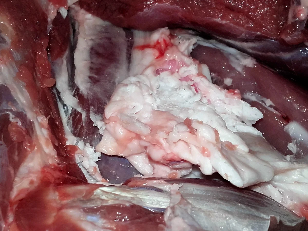 Lammkeule mit Kartöffelchen aus dem Ofen - Rezept - Bild Nr. 2531