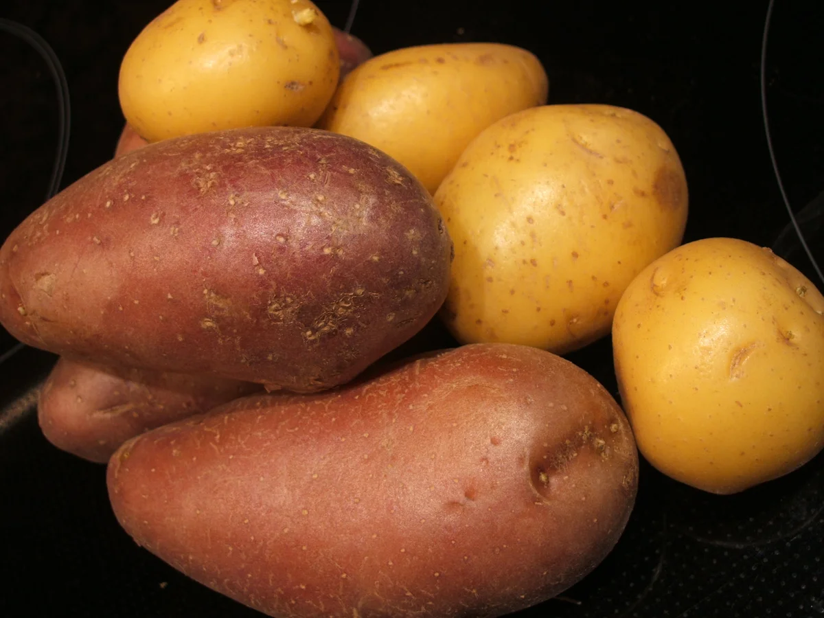 Käse: Käse-Dreierlei mit Kartoffelzweierlei und Chilibutter - Rezept - Bild Nr. 2542