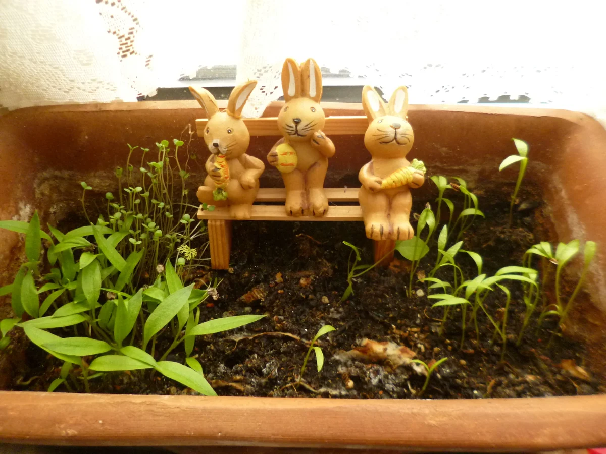 Bärlauchbutter - Rezept - Bild Nr. 3