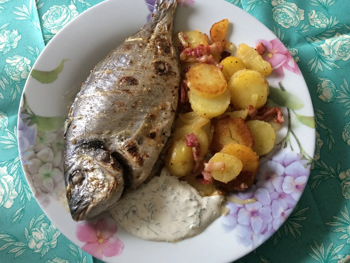 Dorade aus dem Ofen - Rezept - Bild Nr. 2576