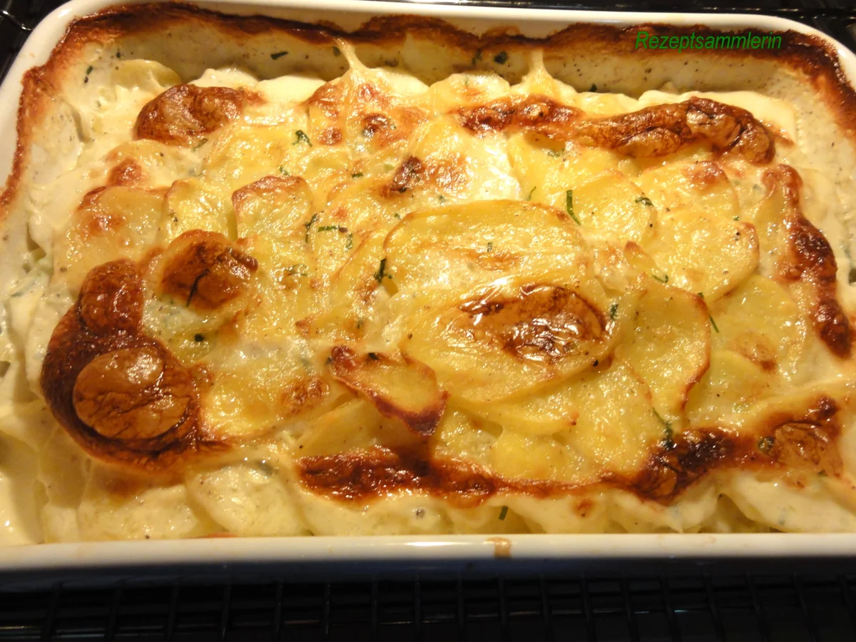 Kartoffel:   KARTOFFEL  - GRATIN mit Sahne - Rezept - Bild Nr. 2562