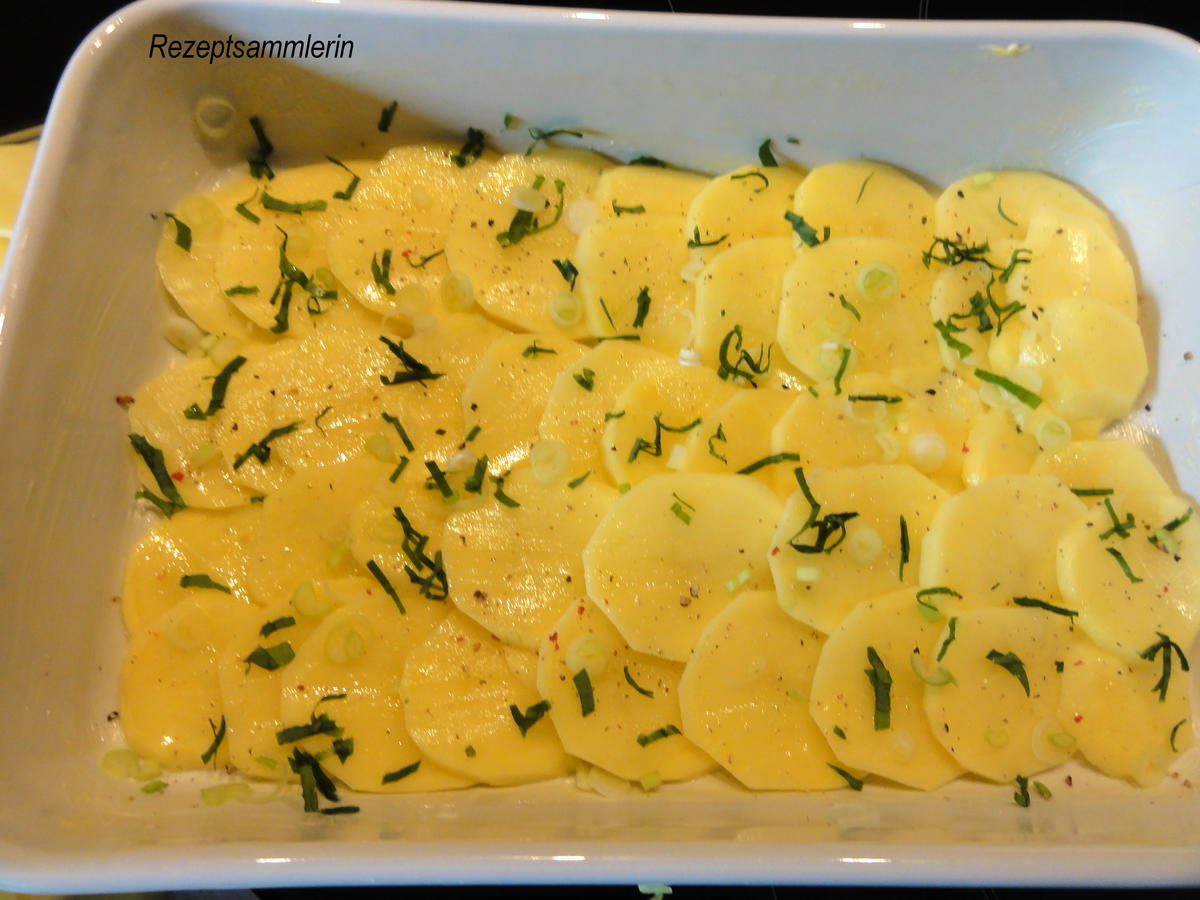 Kartoffel:   KARTOFFEL  - GRATIN mit Sahne - Rezept - Bild Nr. 2564
