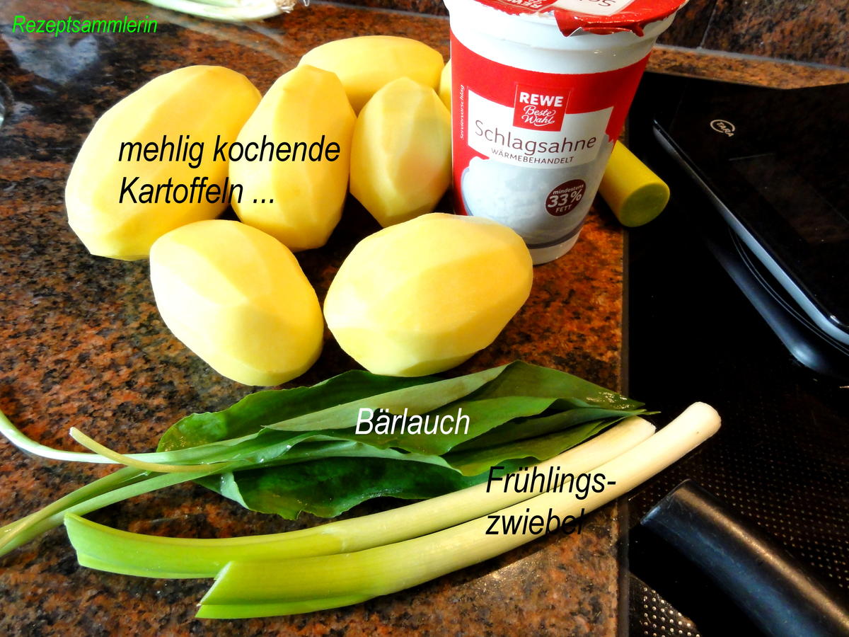 Kartoffel:   KARTOFFEL  - GRATIN mit Sahne - Rezept - Bild Nr. 2566