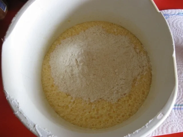 Rezept: Apfel Gugelhupf mit Kokos und Eierlikör Bild Nr. 2585 Apfel Gugelhupf mit Kokos und Eierlikör - Rezept - Bild Nr. 2585