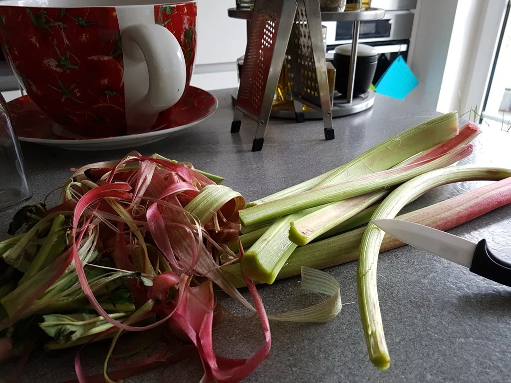 Rhabarberkuchen - Rezept - Bild Nr. 2585