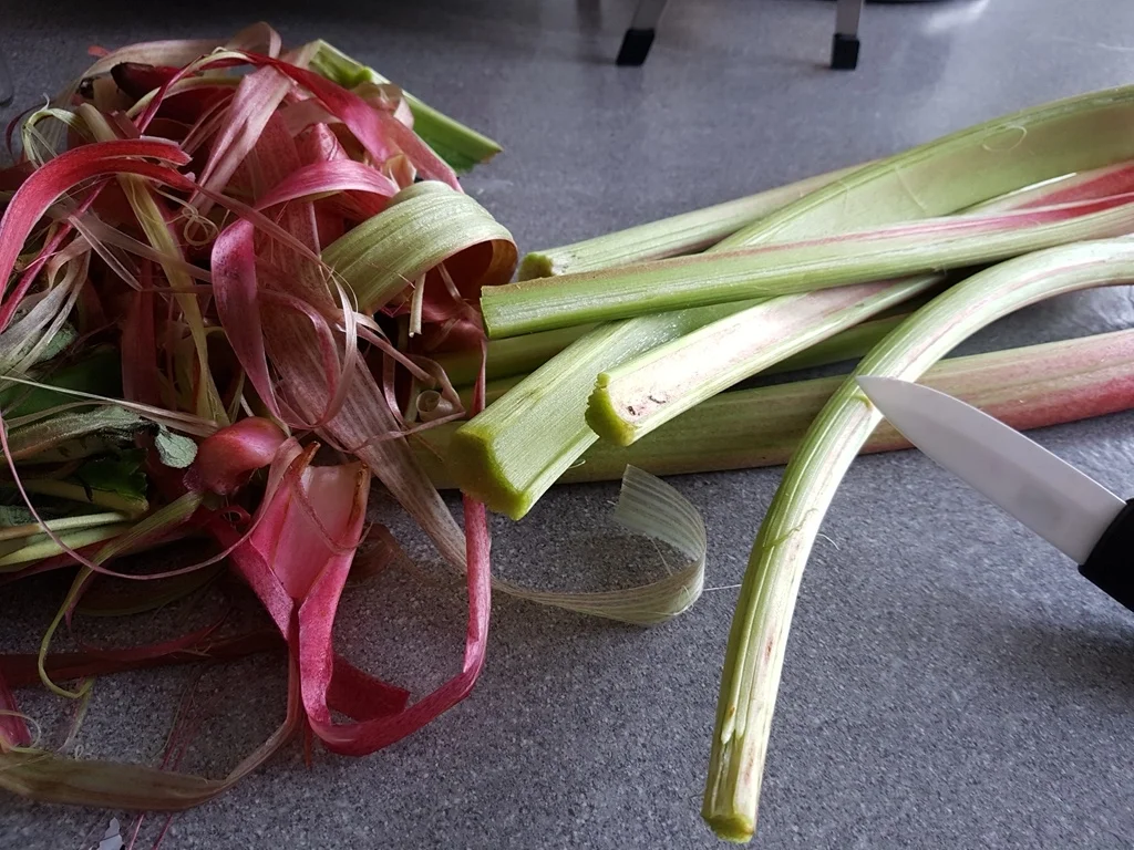 Rhabarberkuchen - Rezept - Bild Nr. 2587