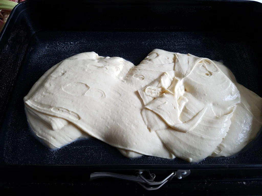 Rhabarberkuchen - Rezept - Bild Nr. 2591