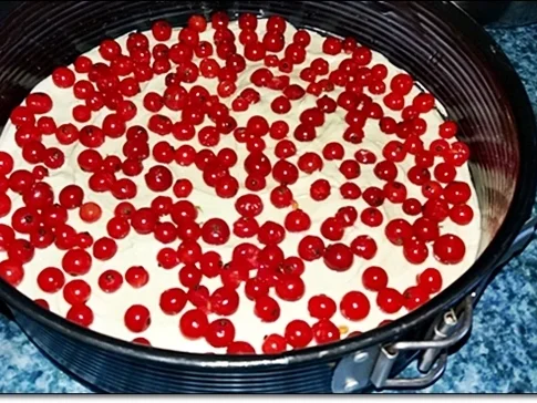 Rezept: Johannisbeeren-Kuchen für den Ostersonntag Bild Nr. 2600 Johannisbeeren-Kuchen für den Ostersonntag - Rezept - Bild Nr. 2600