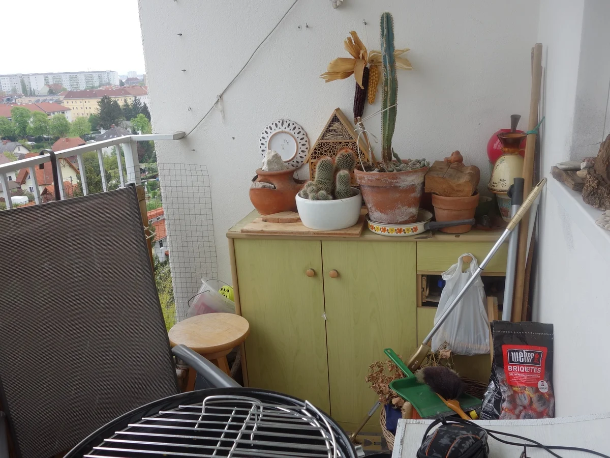 GRILL den WALTL (nicht den Henschler); - Rezept - Bild Nr. 2600