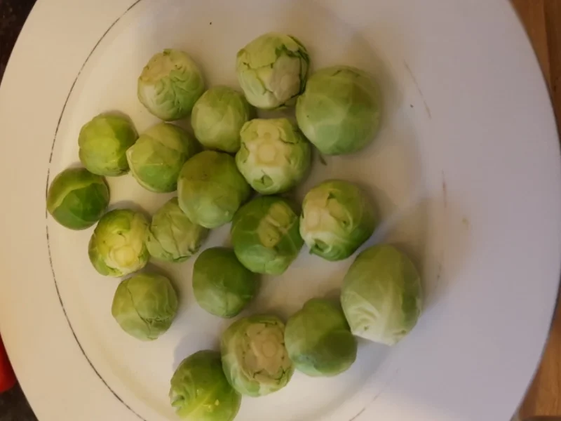 Hähnchenbrustfilet-Gemüse-Eintopf - Rezept - Bild Nr. 2607