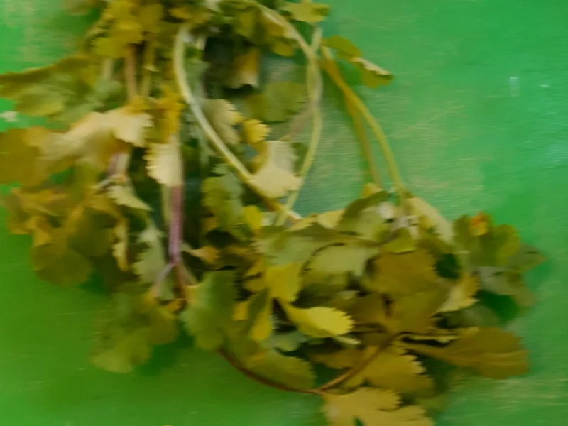 Rezept: Curry-Kartoffel-Mais-Hähnchenbrustfilet-Suppe Bild Nr. 2654 Curry-Kartoffel-Mais-Hähnchenbrustfilet-Suppe - Rezept - Bild Nr. 2654