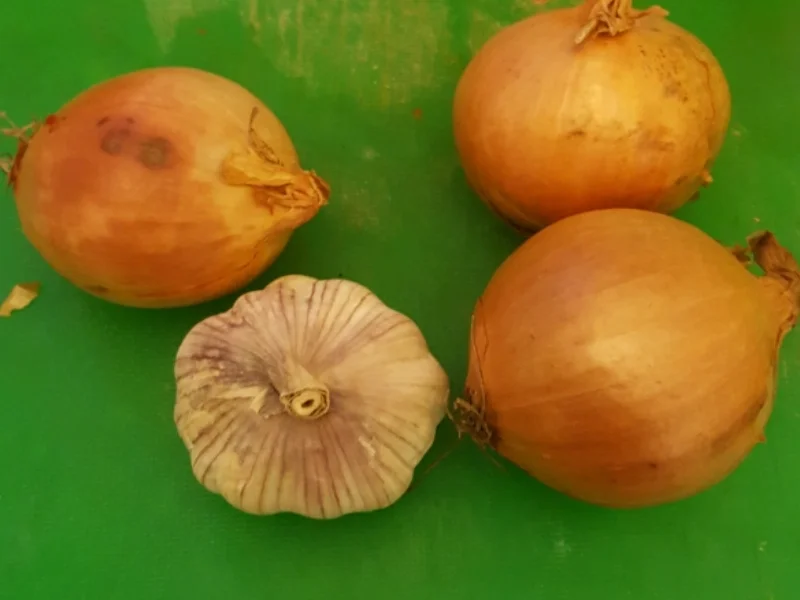 Fischcurry nach Siddek - Rezept - Bild Nr. 2648