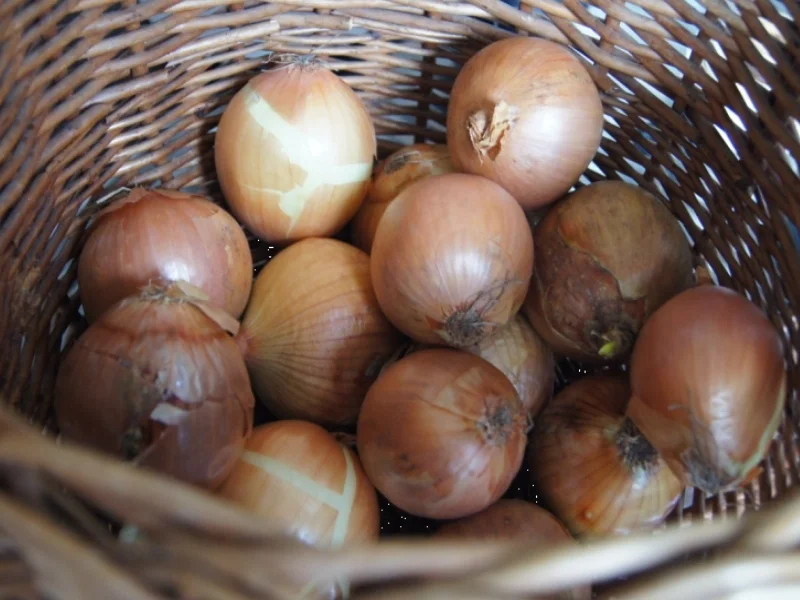 Gulasch halb und halb - Rezept - Bild Nr. 2680