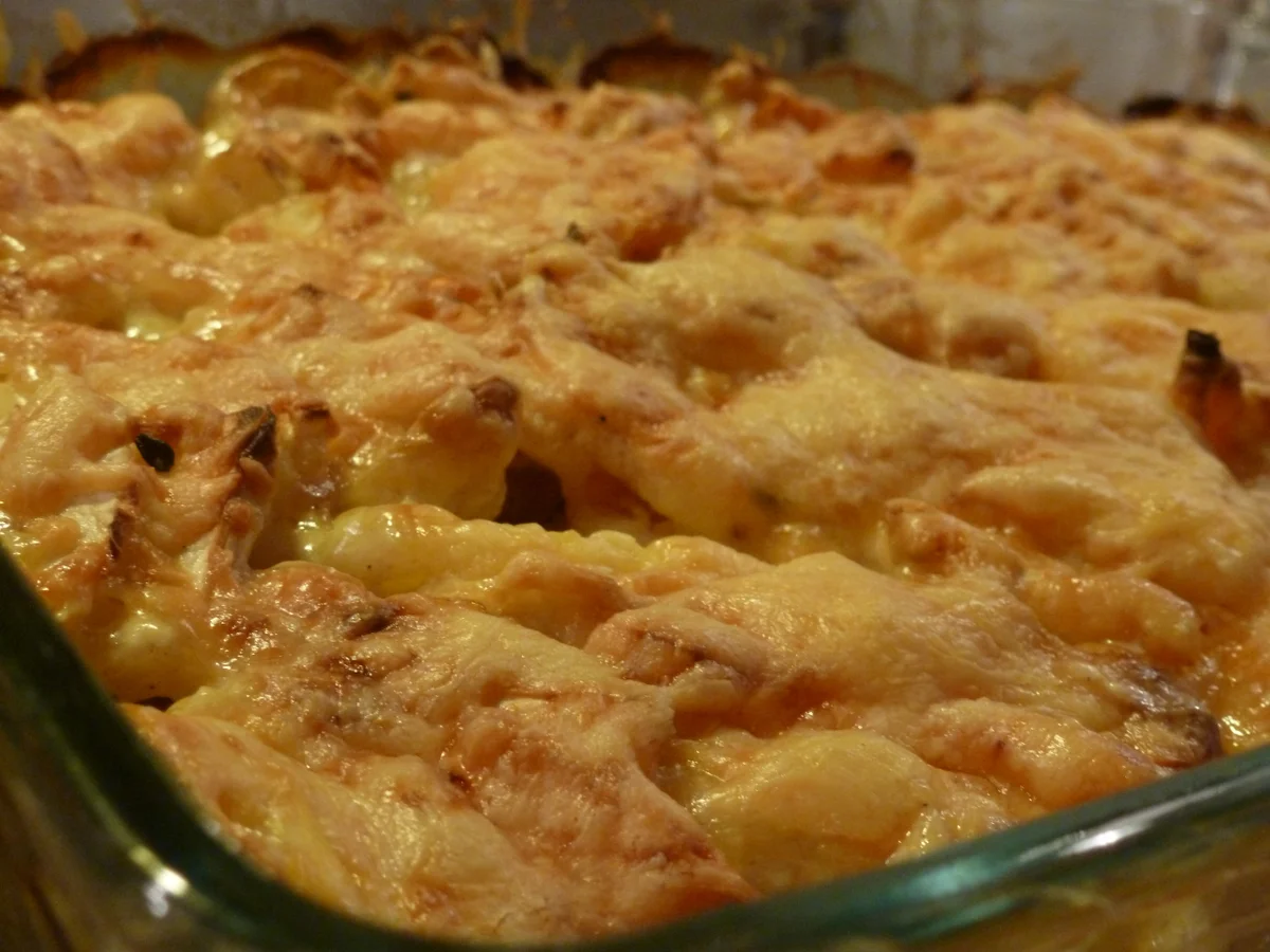 Sellerie-Kartoffel-Gratin - Rezept - Bild Nr. 2662