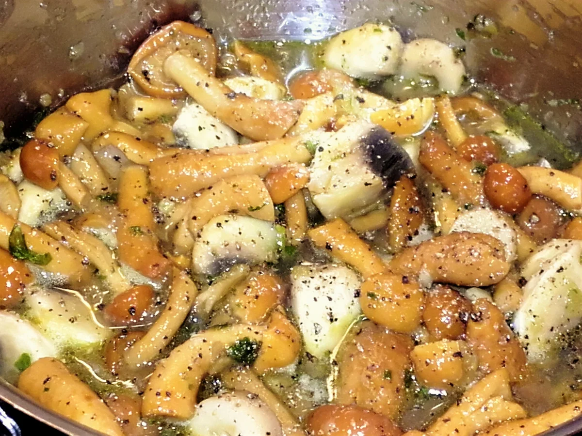 Selbstgemachte Ravioli mit Flusskrebs- Füllung - Rezept - Bild Nr. 2669