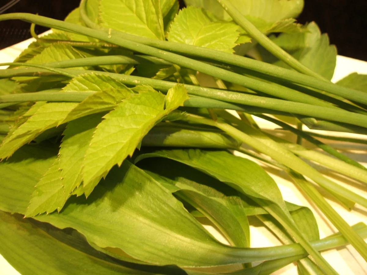 Suppeneinlage: Brie-Kräuter-Nocken - Rezept - Bild Nr. 2661