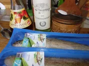 FISCH:  Die blaue Forelle ! - Rezept - Bild Nr. 2681