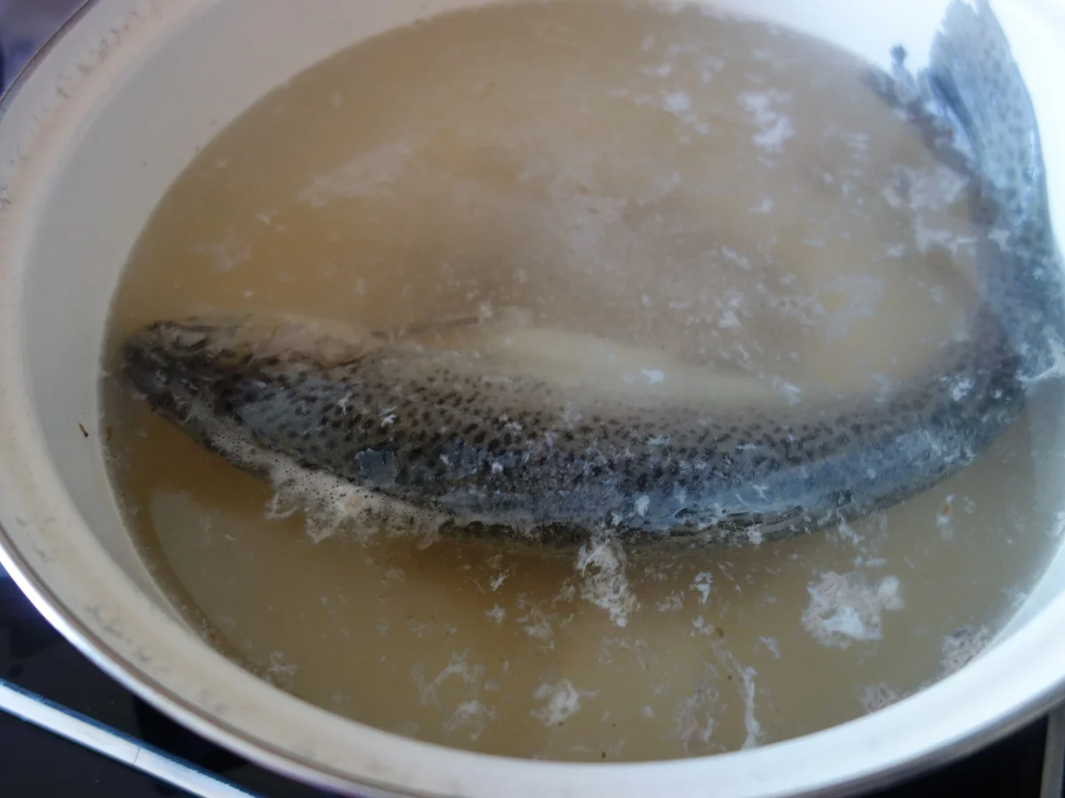 FISCH:  Die blaue Forelle ! - Rezept - Bild Nr. 2685