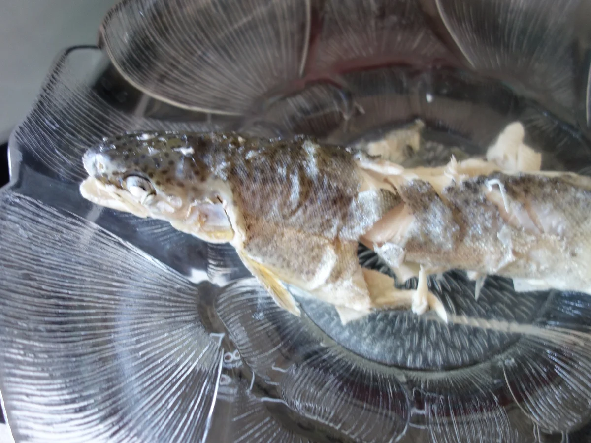 FISCH:  Die blaue Forelle ! - Rezept - Bild Nr. 2687