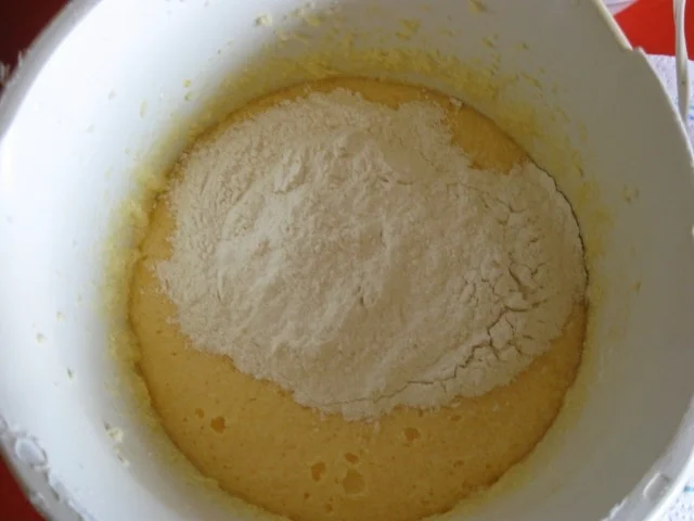 Kokos Mohn Gugelhupf - Rezept - Bild Nr. 2678