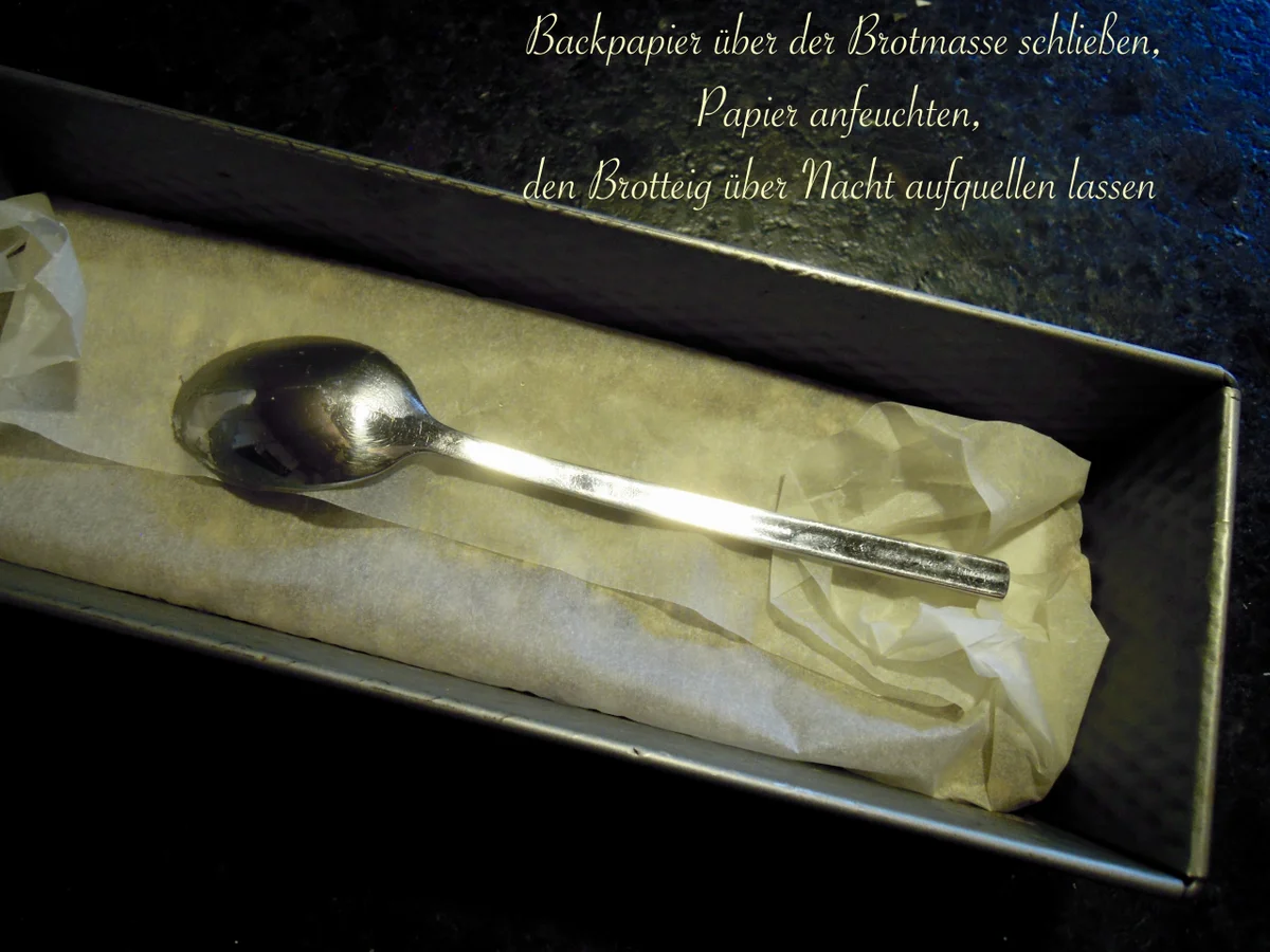 Rezept: Flohsamenbrot - meine Version Bild Nr. 2683 Flohsamenbrot - meine Version - Rezept - Bild Nr. 2683