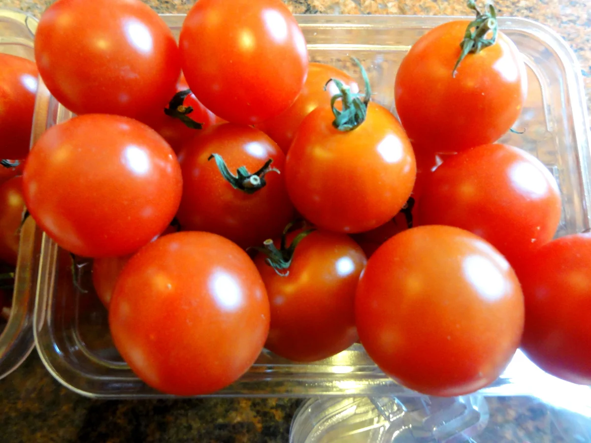 Rezept: Diverses: CHERRY - TOMATEN; getrocknet + eingelegt Bild Nr. 2681 Diverses: CHERRY - TOMATEN; getrocknet + eingelegt - Rezept - Bild Nr. 2681