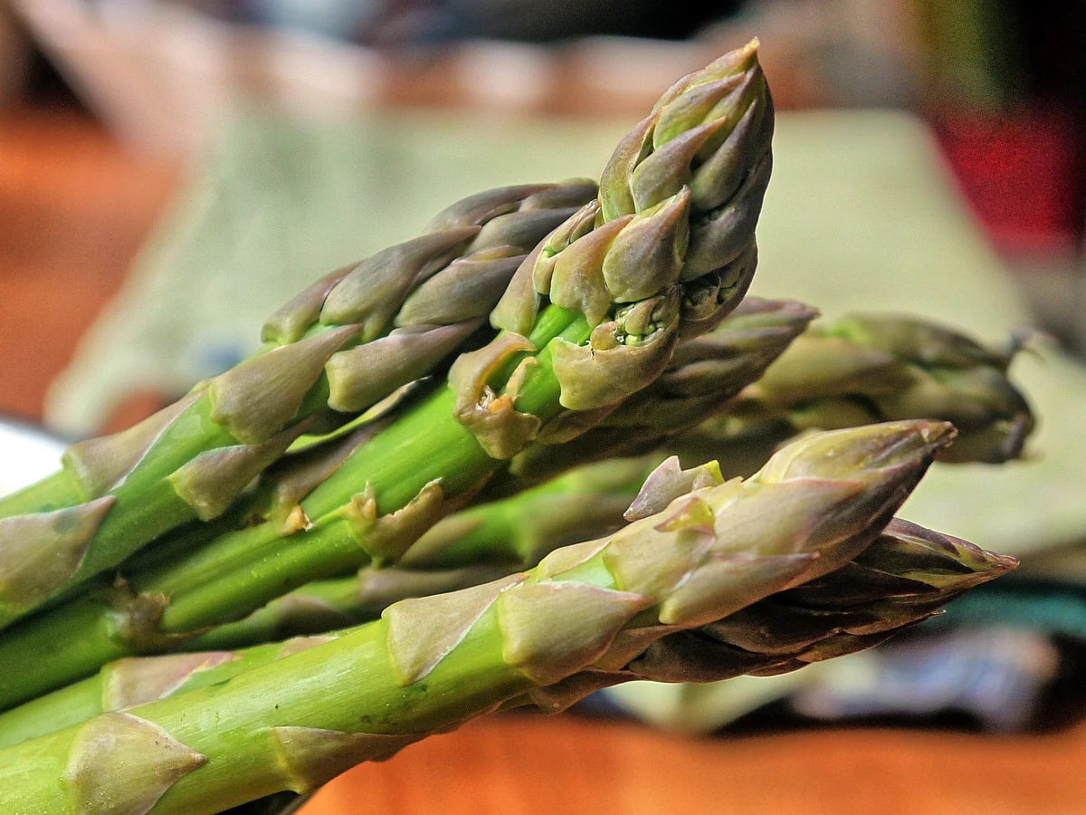 Rezept: Flammkuchen mit grünem Spargel und rosa Pfefferbeeren und Schwarzwälder Schinken Bild Nr. 2693 Flammkuchen mit grünem Spargel und rosa Pfefferbeeren und Schwarzwälder Schinken - Rezept - Bild Nr. 2693