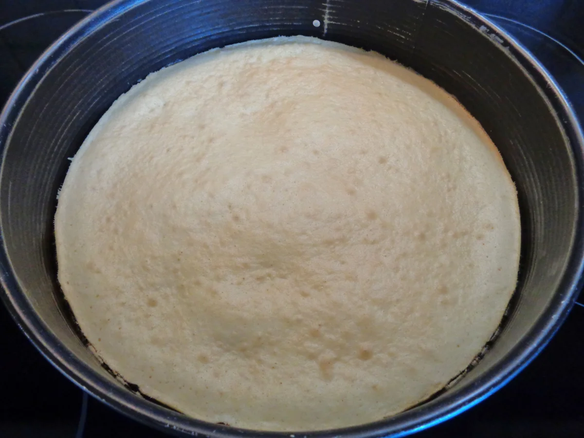 Kokos - Schokoladen - Bananen - Mango - Torte ... - Rezept - Bild Nr. 2696