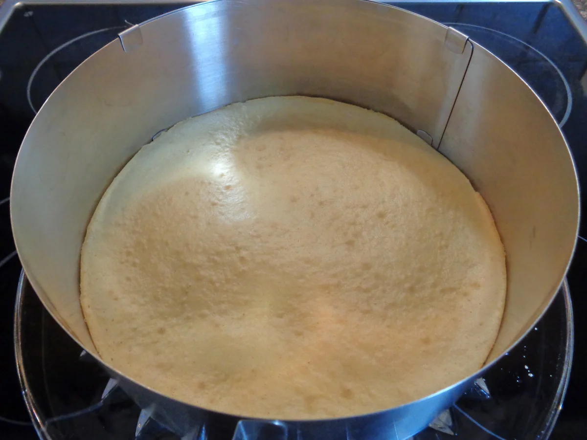 Kokos - Schokoladen - Bananen - Mango - Torte ... - Rezept - Bild Nr. 2697