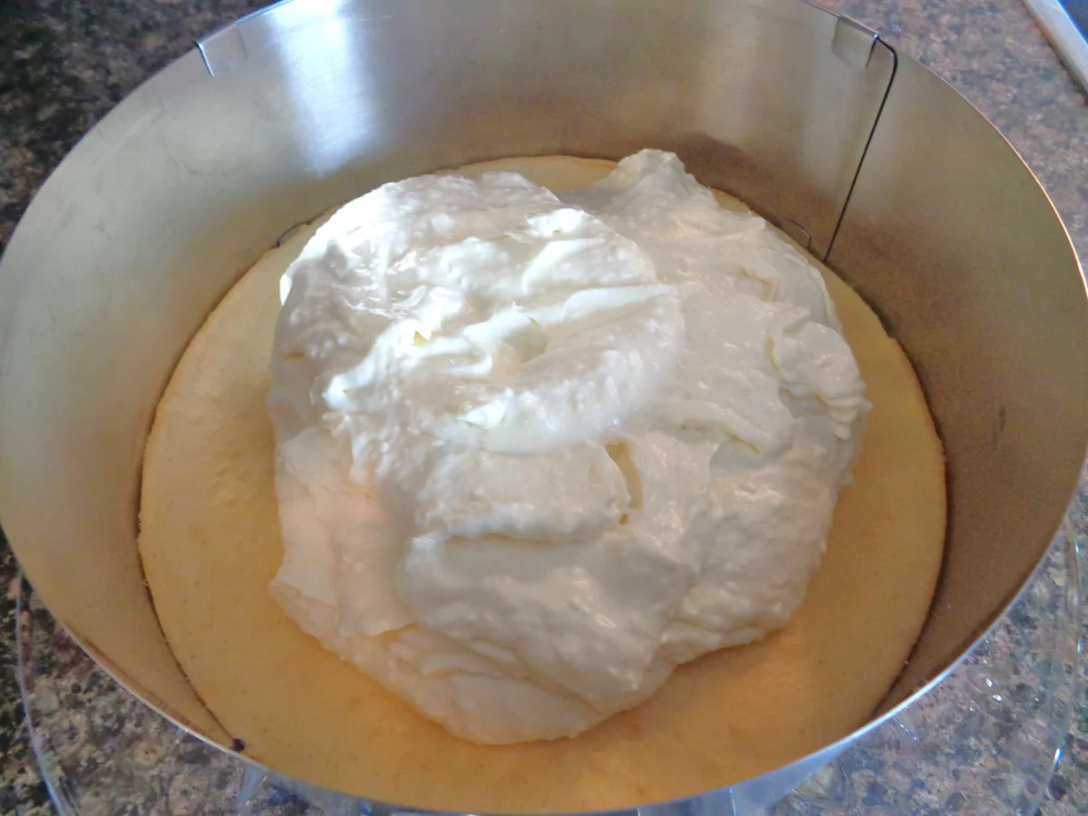 Kokos - Schokoladen - Bananen - Mango - Torte ... - Rezept - Bild Nr. 2700