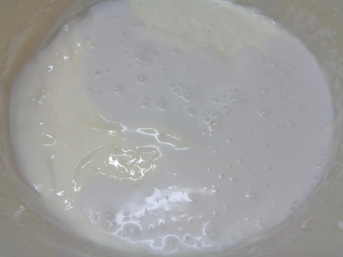 Kokos - Schokoladen - Bananen - Mango - Torte ... - Rezept - Bild Nr. 2703