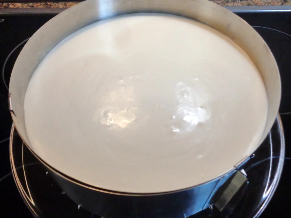 Kokos - Schokoladen - Bananen - Mango - Torte ... - Rezept - Bild Nr. 2705