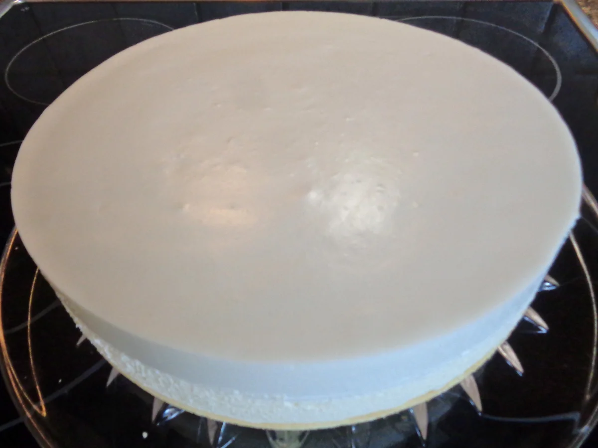 Kokos - Schokoladen - Bananen - Mango - Torte ... - Rezept - Bild Nr. 2696