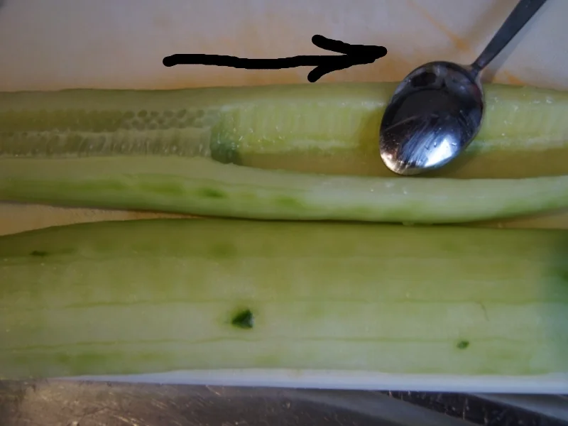 Rezept: Tomaten-Gurken-Salat mit Honig-Balsamico-Vinaigrette Bild Nr. 2695 Tomaten-Gurken-Salat mit Honig-Balsamico-Vinaigrette - Rezept - Bild Nr. 2695