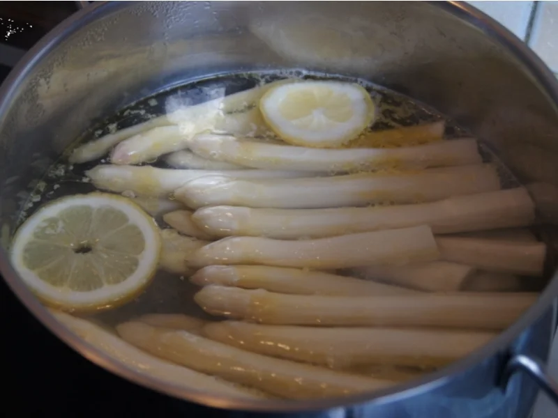 Spargel mit Regenbogenforelle - Rezept - Bild Nr. 2761