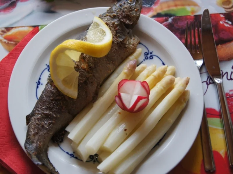 Spargel mit Regenbogenforelle - Rezept - Bild Nr. 2765