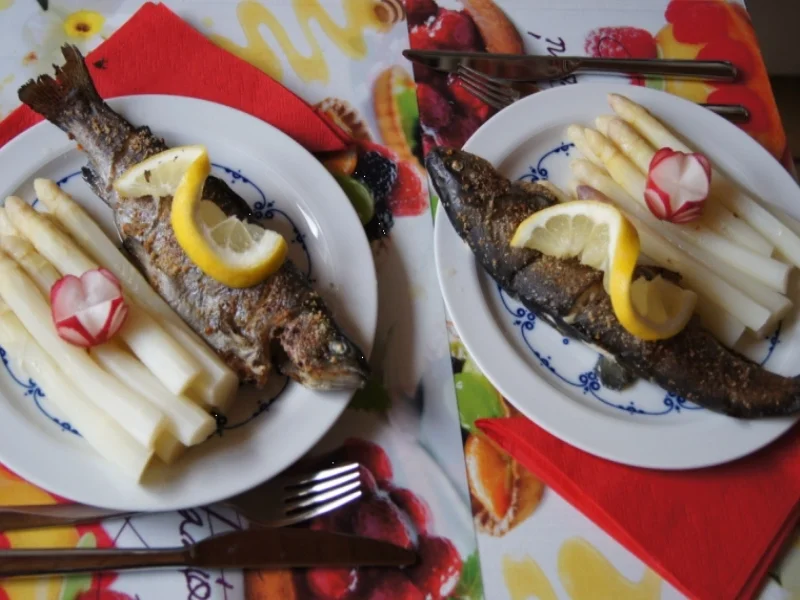 Spargel mit Regenbogenforelle - Rezept - Bild Nr. 2764