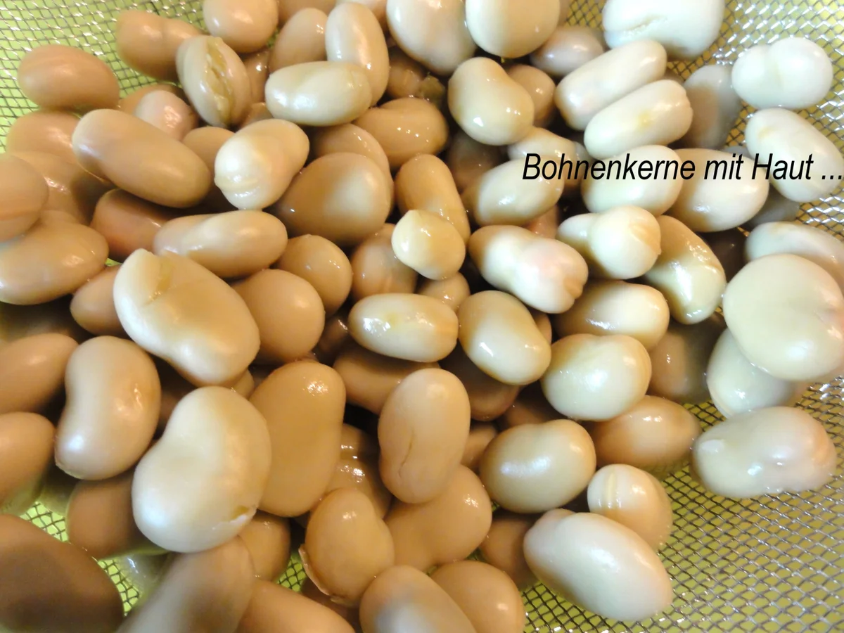 Rezept: Gemüse: JUNGE BOHNENKERNE, herzhaft Bild Nr. 2768 Gemüse: JUNGE BOHNENKERNE, herzhaft - Rezept - Bild Nr. 2768