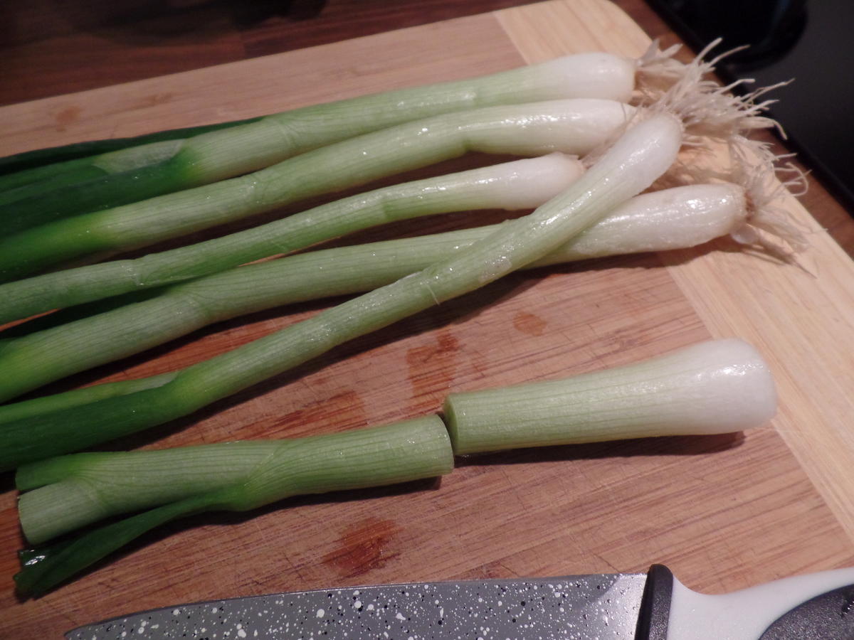 Sesam-Hähnchen-Ragout - Rezept - Bild Nr. 2791