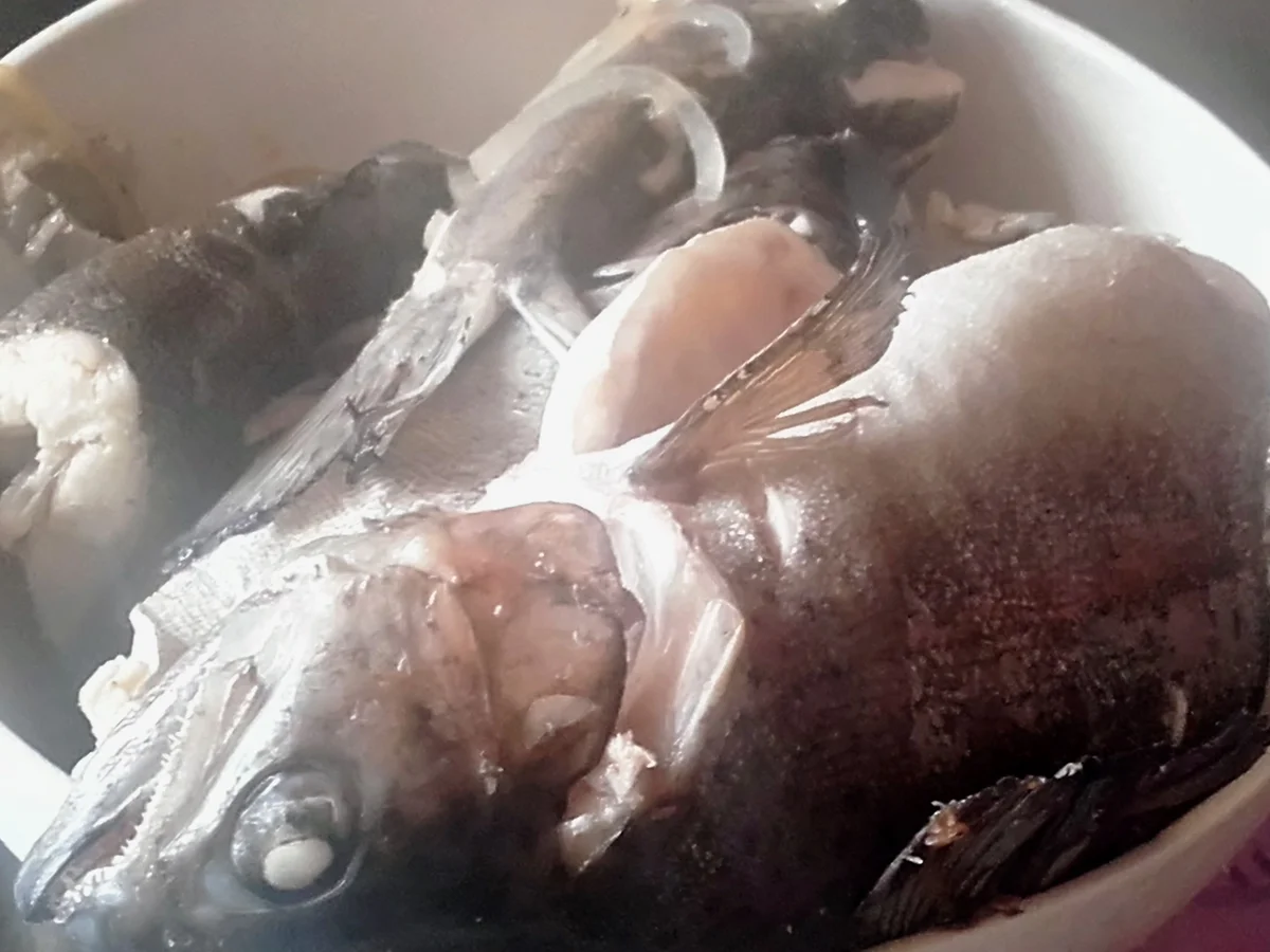 Rezept: Fischsuppe mit Regenbogenforelle nach Mama´s Art Bild Nr. 2791 Fischsuppe mit Regenbogenforelle nach Mama´s Art - Rezept - Bild Nr. 2791