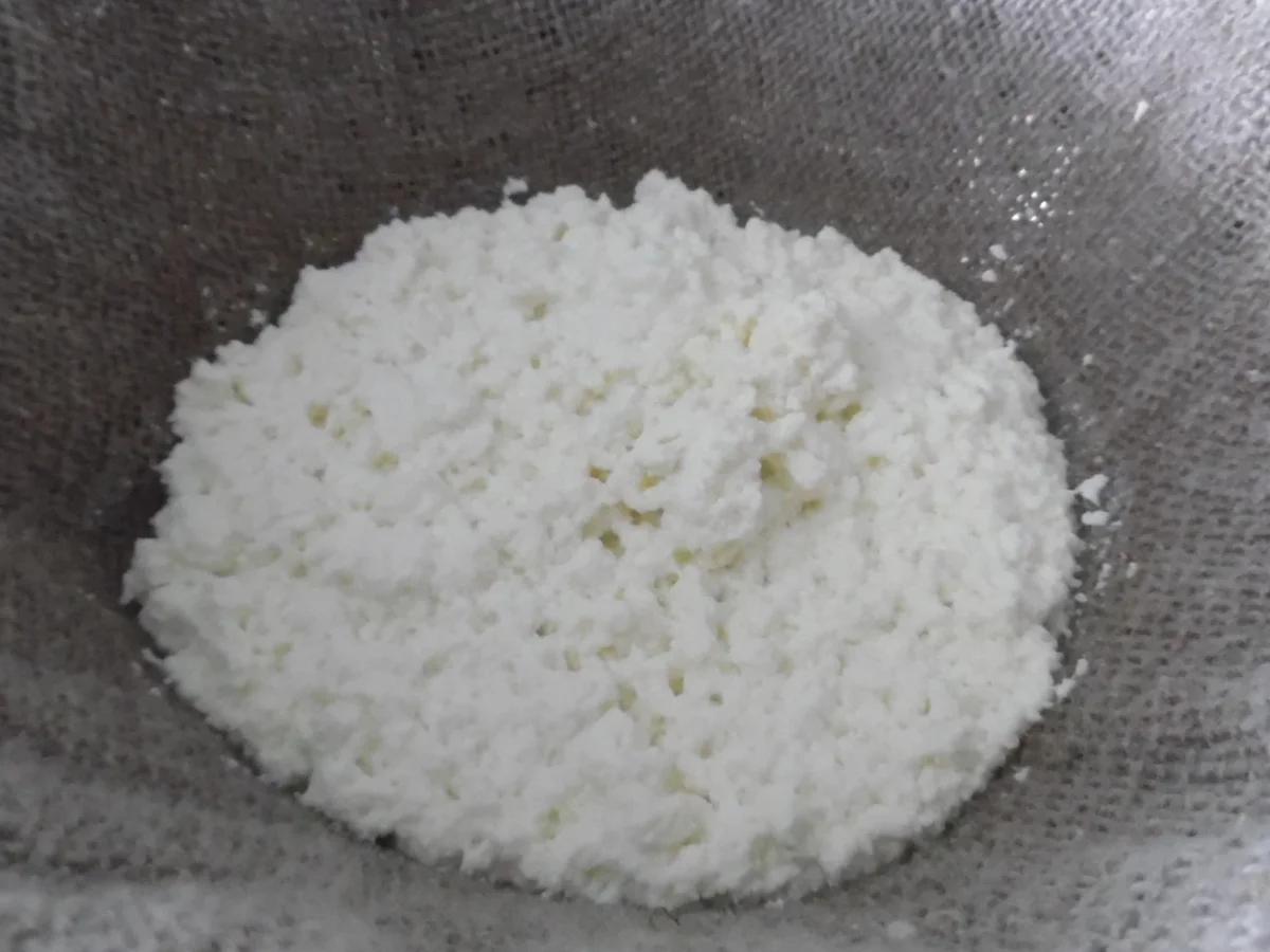 Hüttenkäse - "Cottage Cheese" - Rezept - Bild Nr. 2802