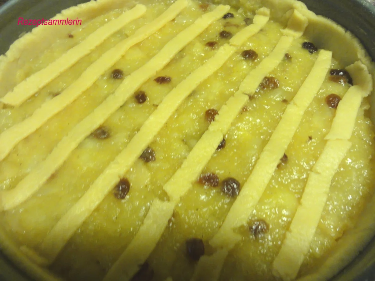 Mürbeteig:   APFELKUCHEN unter Gitter - Rezept - Bild Nr. 2808