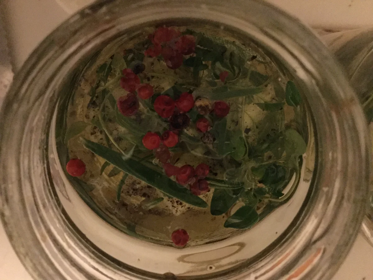 Schafskäse in Rapsöl und Kräuter eingelegt - Rezept - Bild Nr. 2809