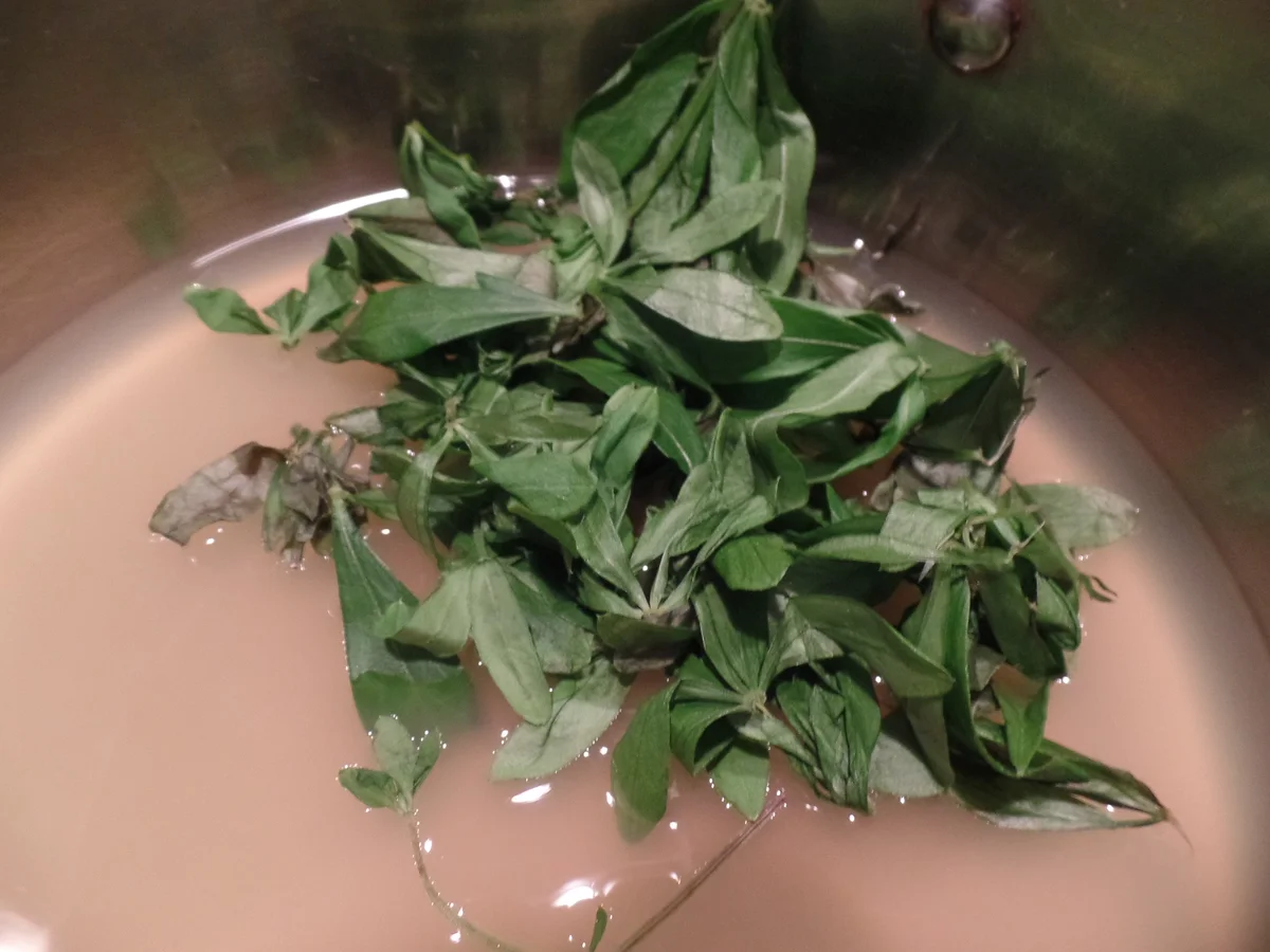 Waldmeister-Apfelsaft-Gelee - Rezept - Bild Nr. 2831