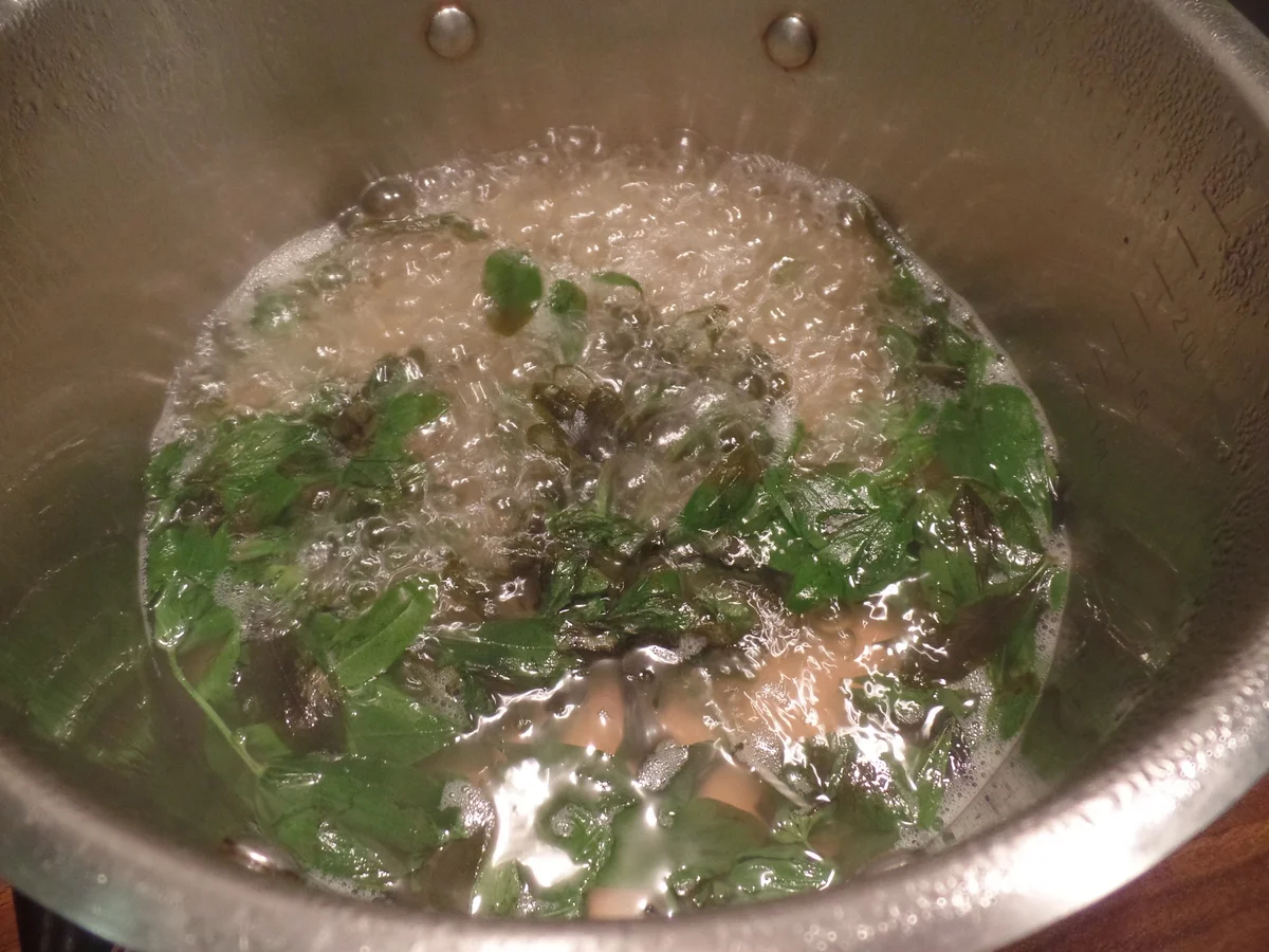 Waldmeister-Apfelsaft-Gelee - Rezept - Bild Nr. 2832