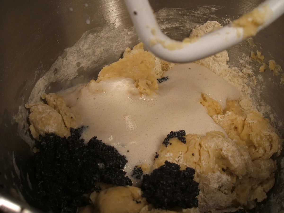 Backen: Mohnzopf mit Aprikosen - Rezept - Bild Nr. 2834